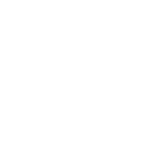 BDBRIM logo